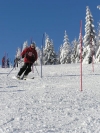 Profesionální lyžař na trati
